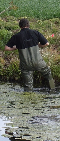 Ecologist-surveying-for-Great-crested-newts